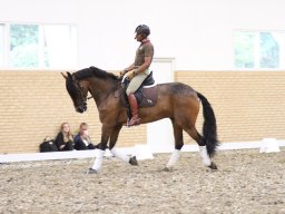 IMG_1552_web